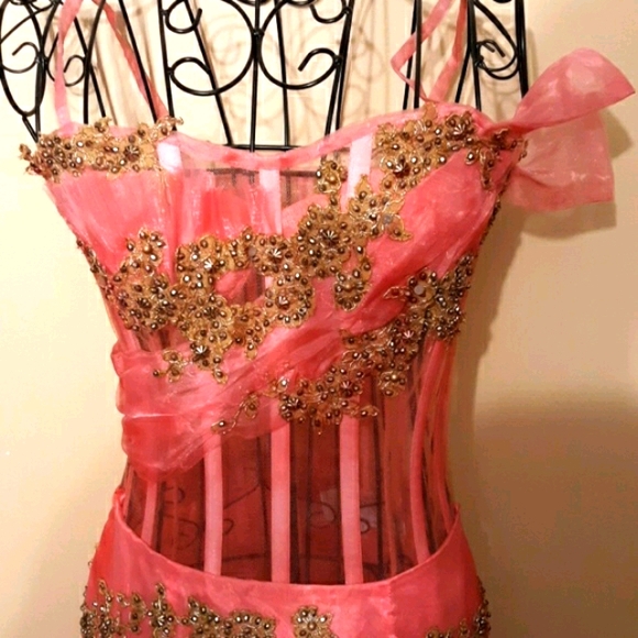 Hot Pink Bustier w/Tulle Ruffled Skirt - Picture 4 of 8